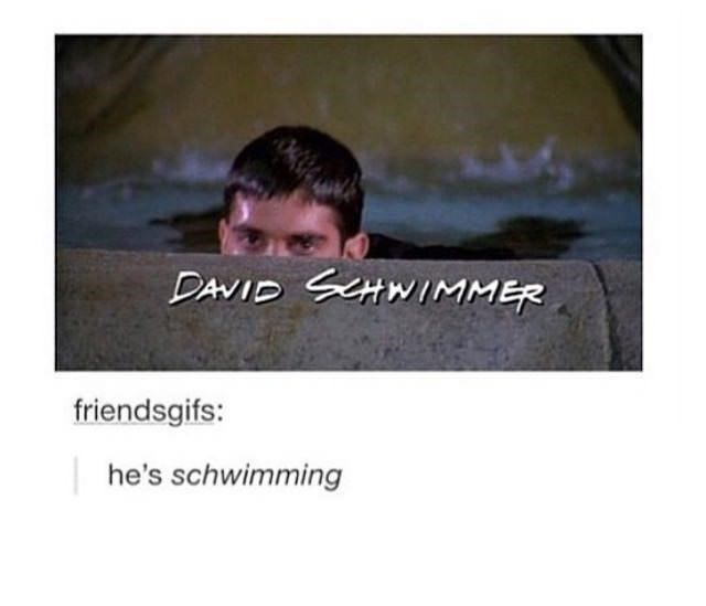 David Schwimmer taking a leisurely swim in the swimming pool.