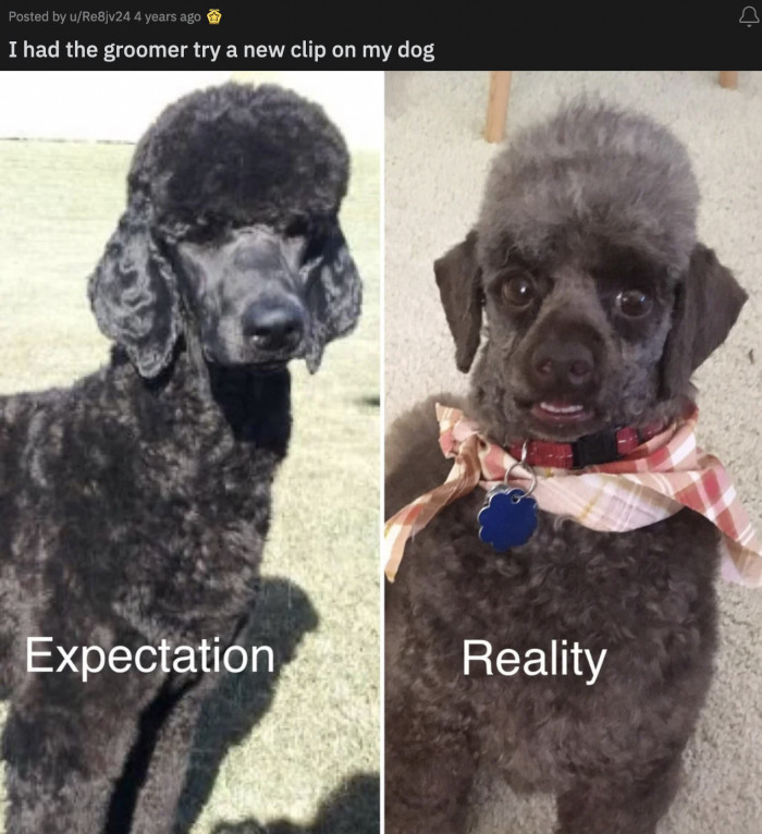 43. Remember when you were a kid and your parents kept telling you you're good-looking?