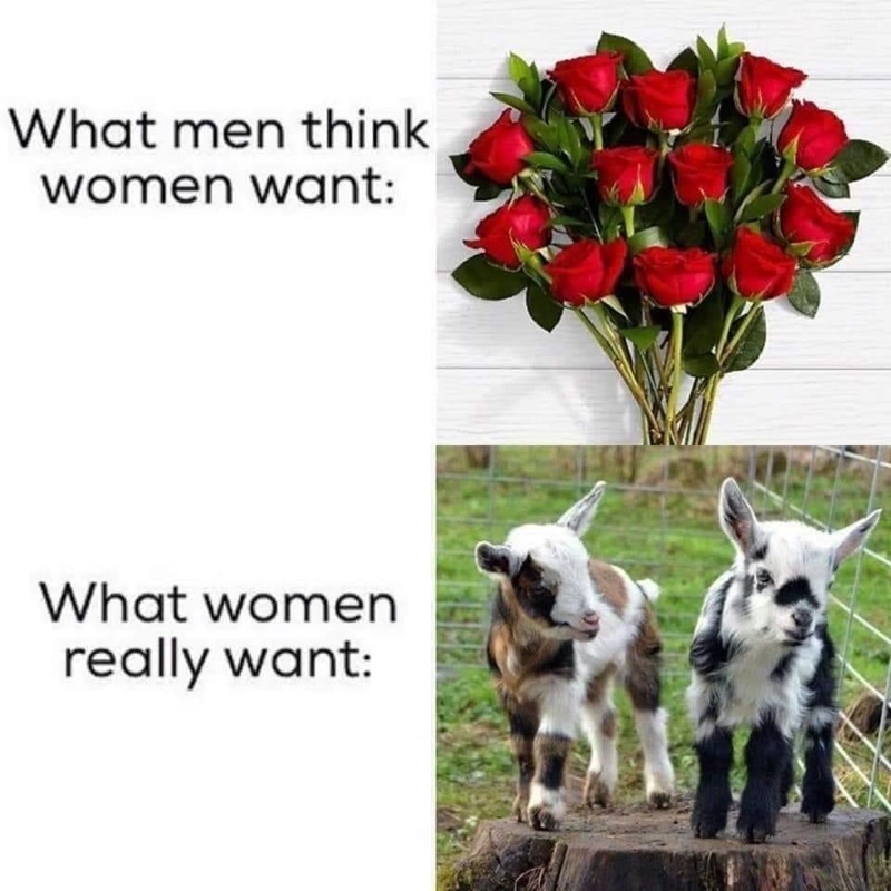 37. You get the point?