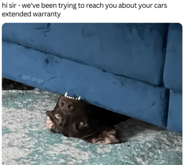 33. Sorry, you said...