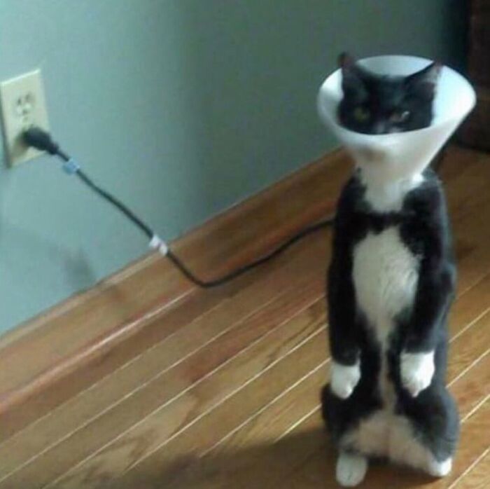 7. Cursed_lamp