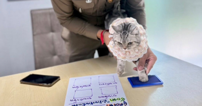 Mischievous Cat “Arrested” at Bangkok Police Station Gets Mugshot and Steals the Internet