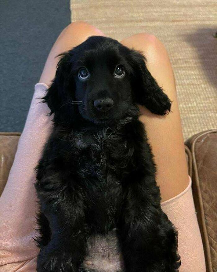 1. She's mastered the Disney eyes perfectly.