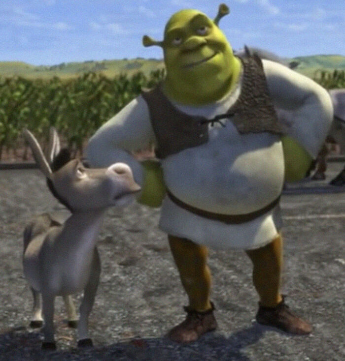 11. If we’re being honest, Shrek was chuck full of barely PG appropriate jokes