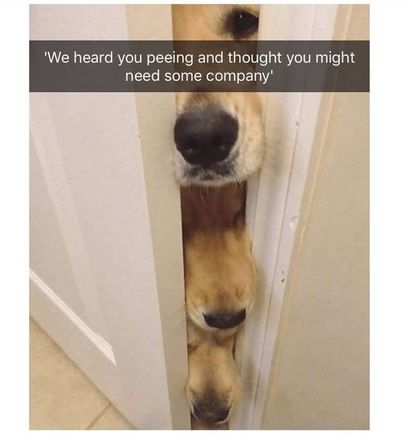 11. You know that we are all here for you