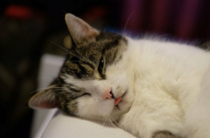 15. Rip My Bestfriend. She Had The Best Bleps! She Was 18 Y/O In This Pic And Never Looked A Day Over 5!