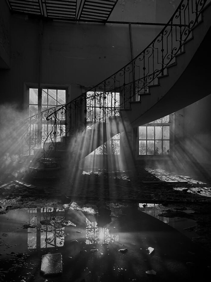 Other, 3rd Place, Photo By Gabriela Alvelo (Venezuela)