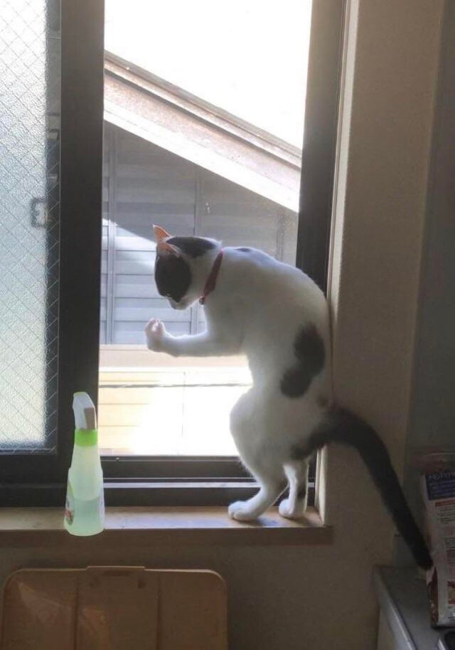 8.