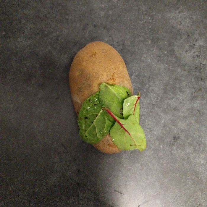 8. Tiana From The Princess And The Frog