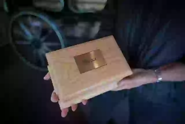 The pets were dumped in a landfill.