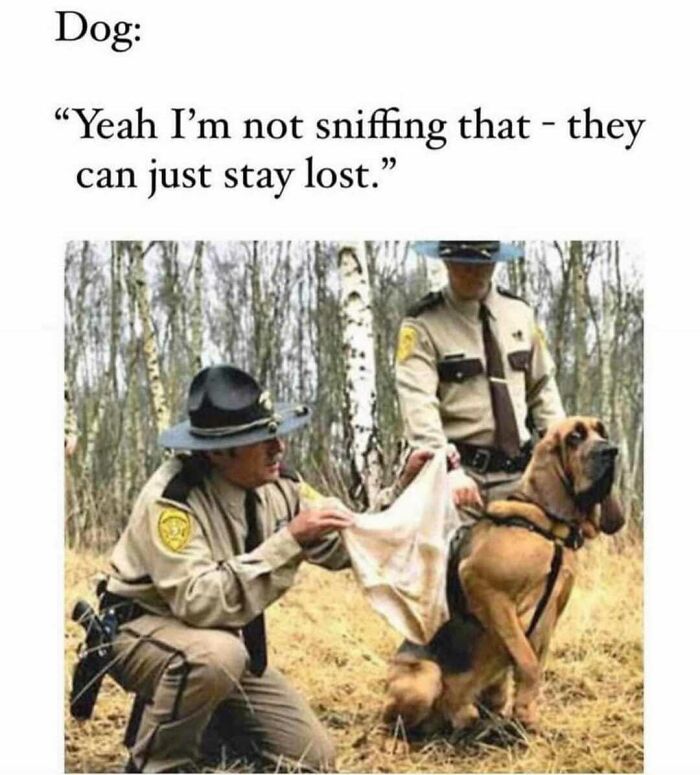 9. Whatever the dog says