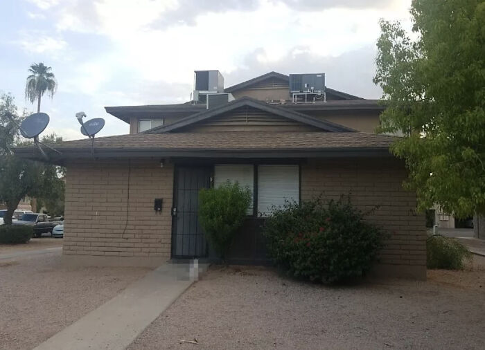 "Streetview Censored This Cat For His Privacy"