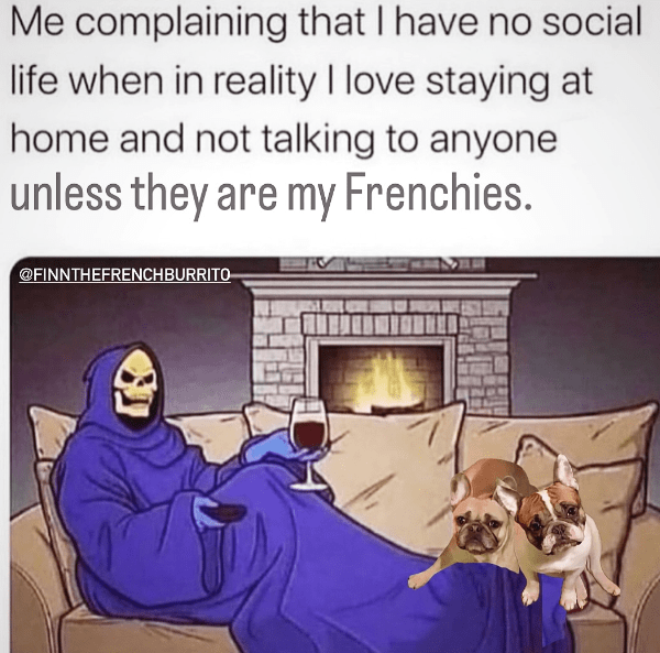 39. Oh, I love my dogs