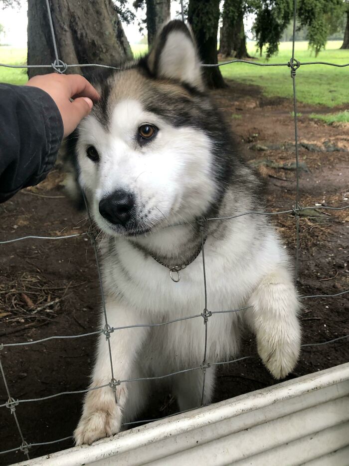 9. Ella's Got Those Disney Eyes!