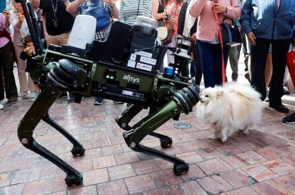 32. I think the dog has made a friend