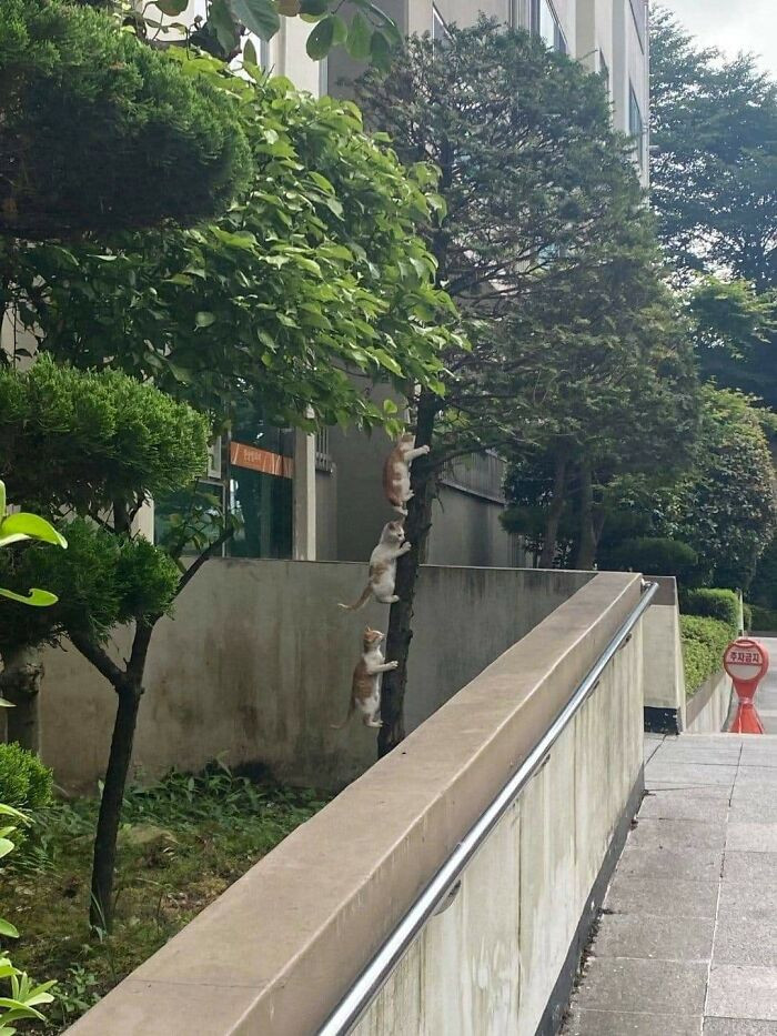 26. Let's make a climb here