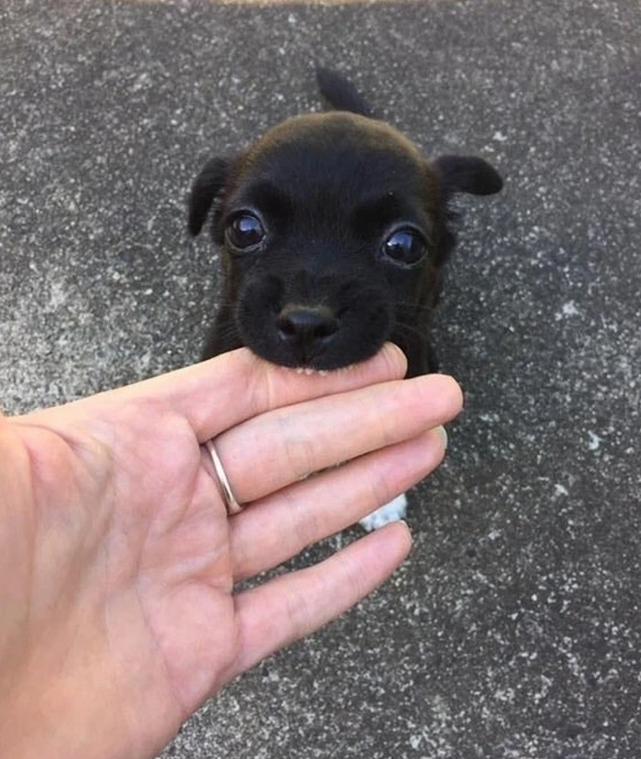 8. "You Have a Kind Taste."