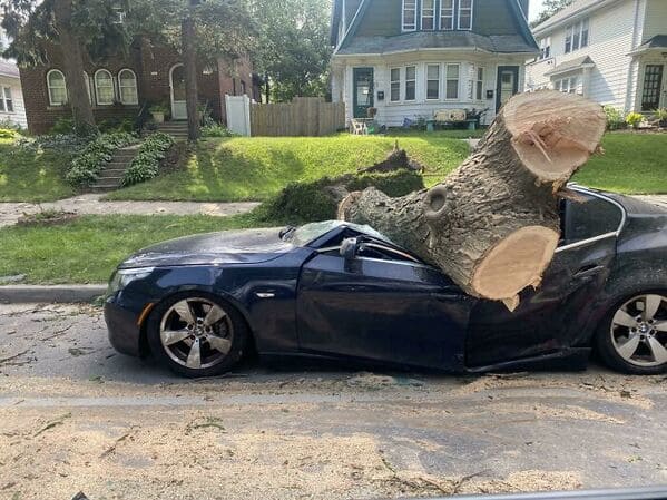 18. “A BMW wrecked by a tree.”