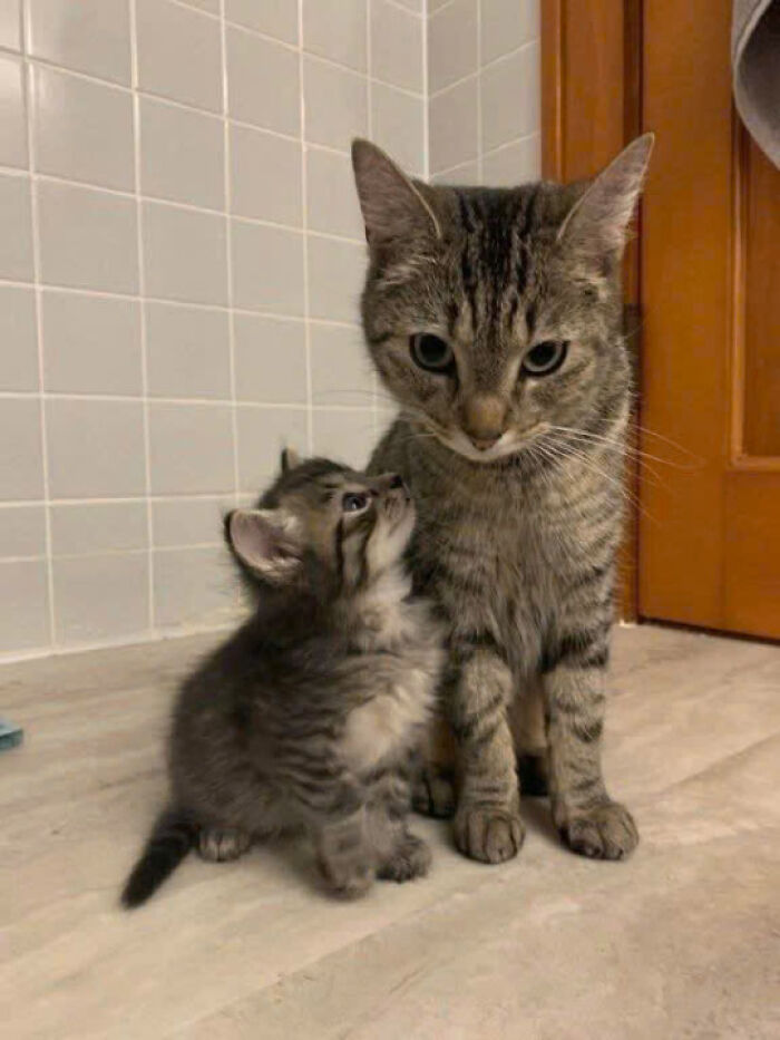 47. She'll protect her little one