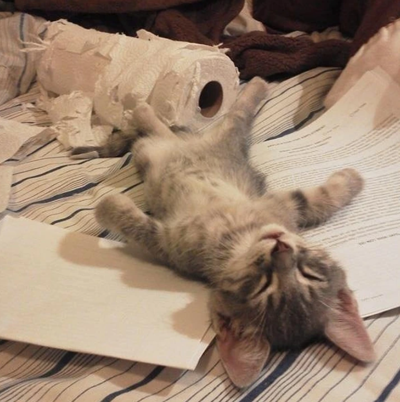 2. "Paperwork is a real struggle."