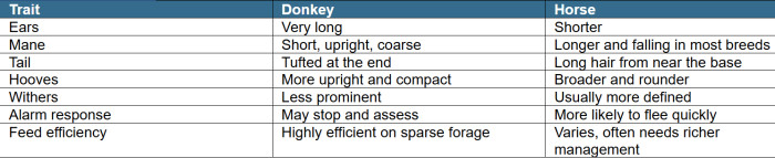 Quick Comparison