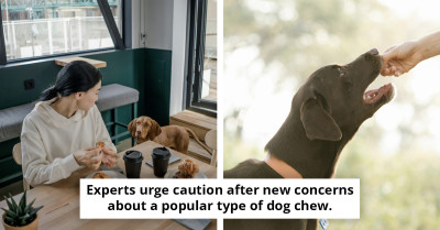 Health Specialists Warn Pet Owners About Possible Dangers in Frequently Given Snacks