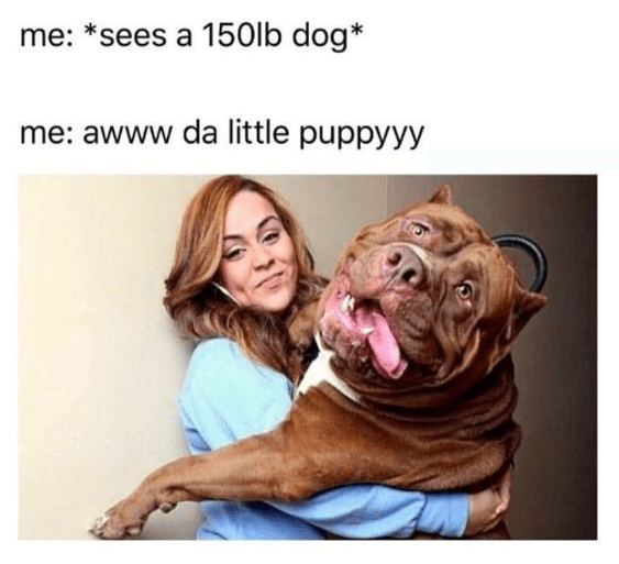 37. Little? I guess not