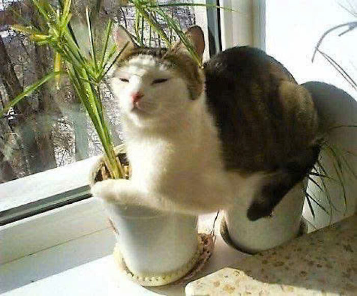 15. This is mine now