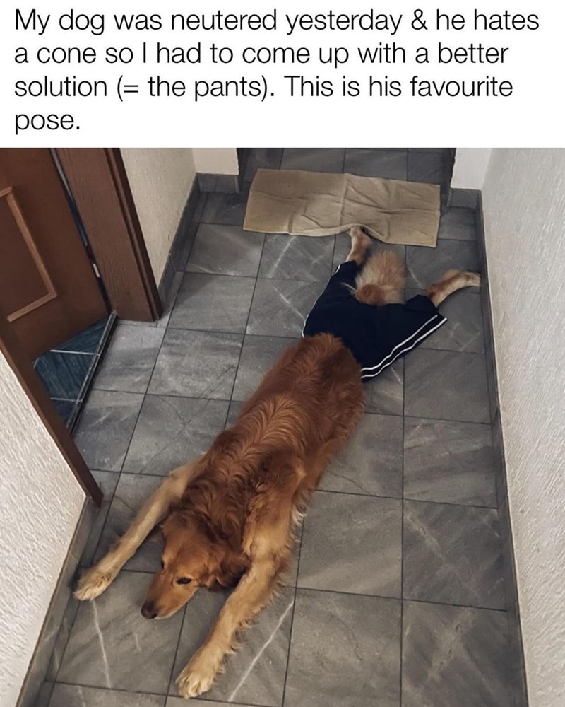 50. That's a big fella