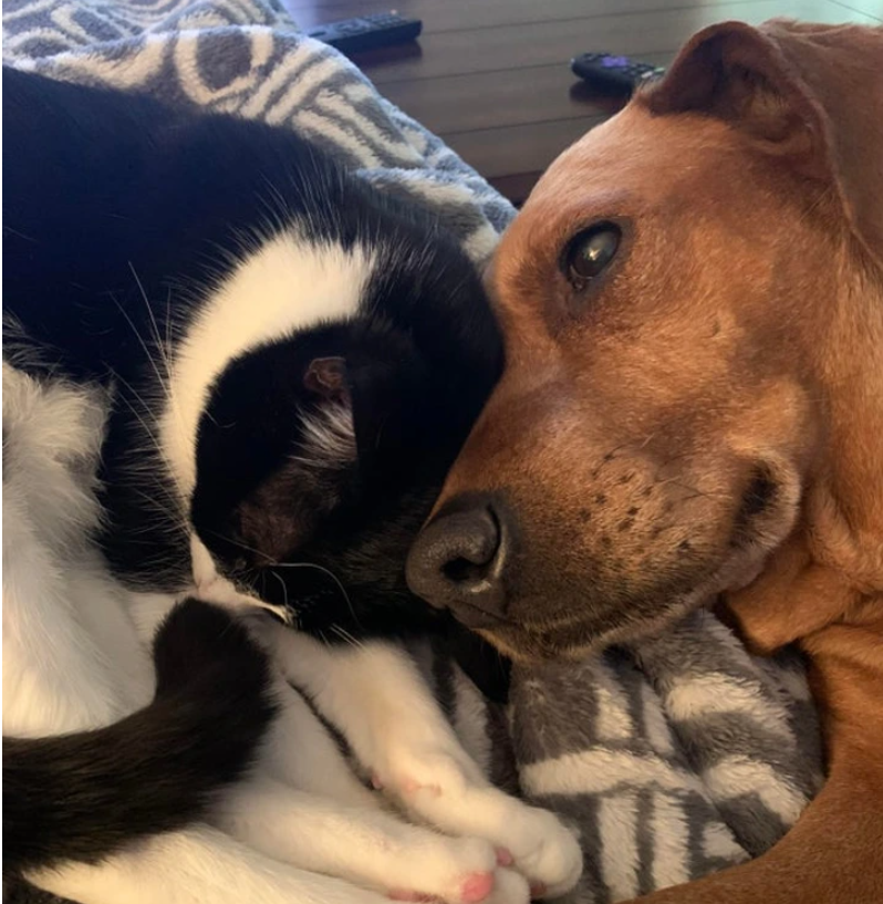 6. "Sister and Brother: Bonded by Love"