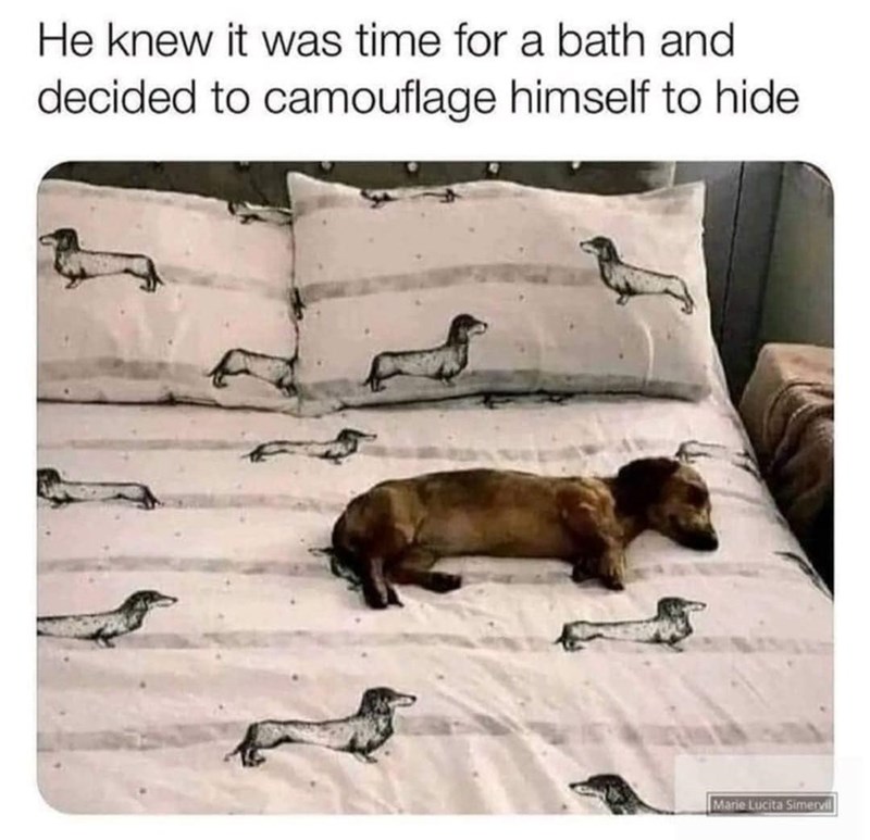 36. We'll still get you