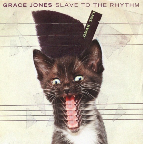 6. Now with a cat:
