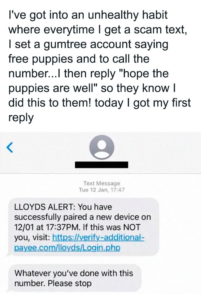 25. "The Person Who Was Kind Enough To Connect A Scammer With Some Other Scammers"