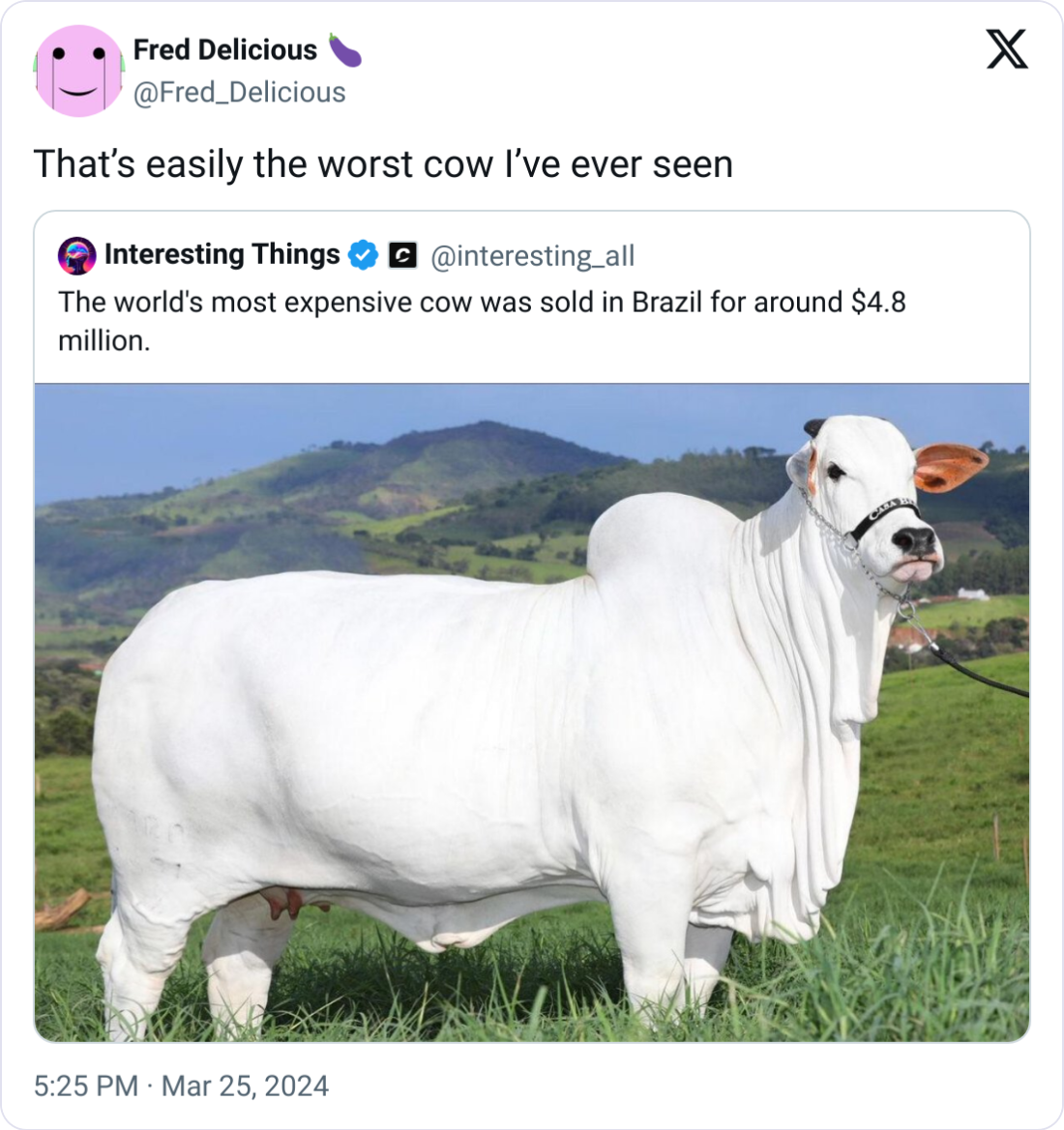 We most definitely agree with this. It doesn't even look like a cow.