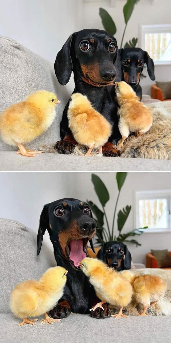 3. “A Story Of Confusion”