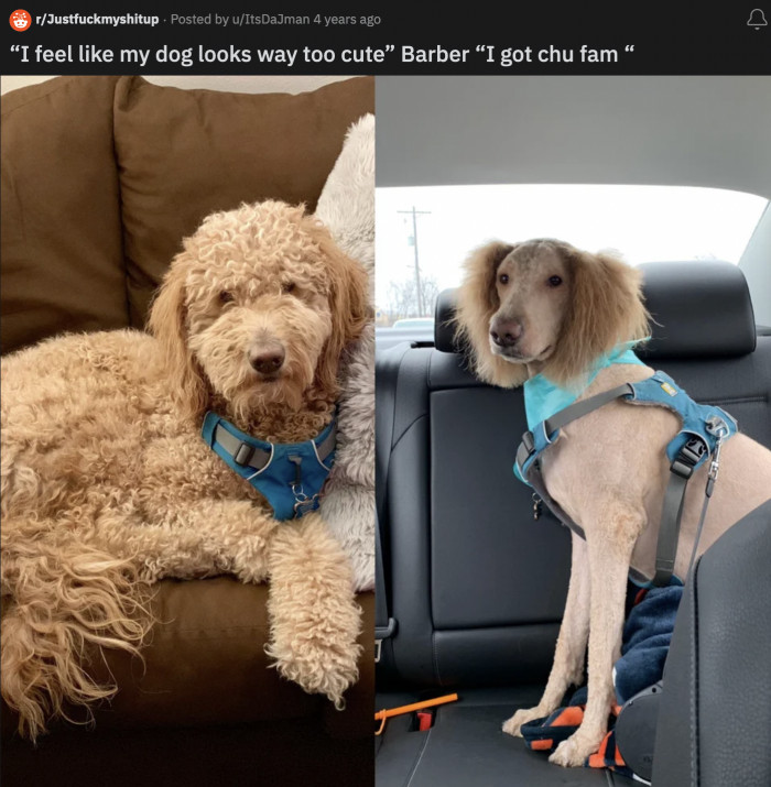 16. That's enough problem-solving for today, said the barber