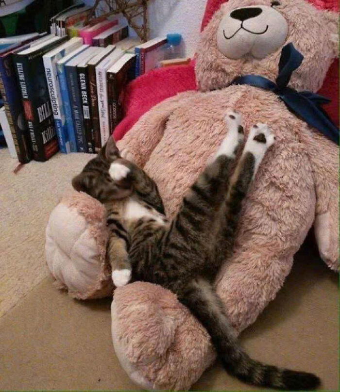 5. Just having a little nap