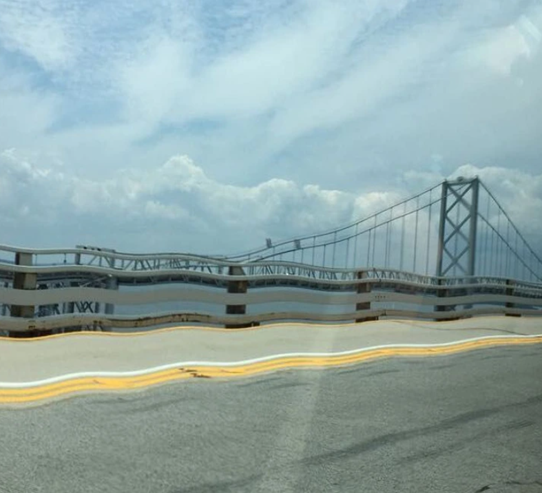 7. "I captured this photo just as my mom hit a bumpy patch of road, resulting in an unusual shot."