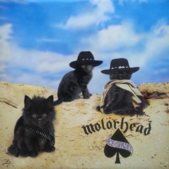 28. Motorhead as a cat.