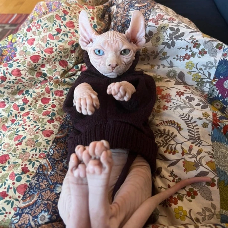 13. "Kiss Me, Human"