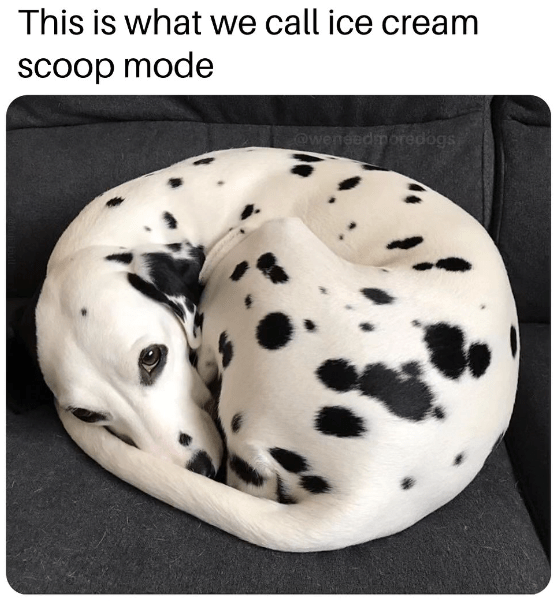 43. I'd scoop it all up