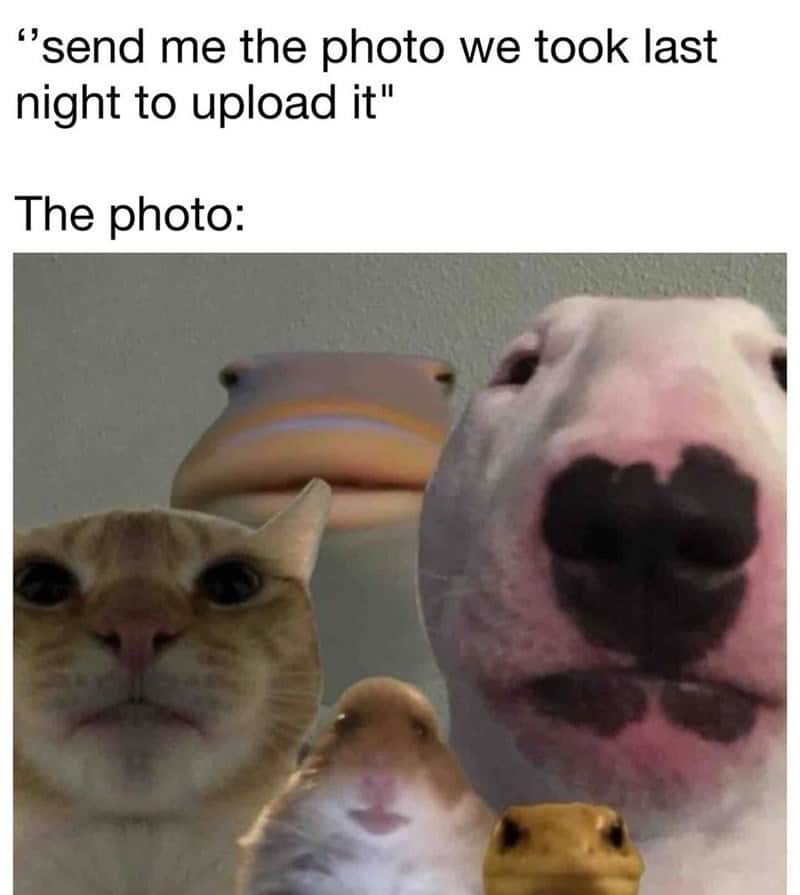 22. Here is the photo we took