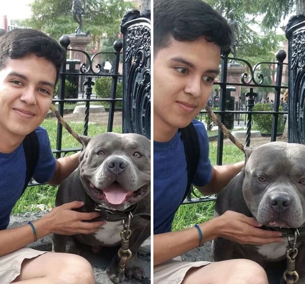 14. “I Asked If I Could Pet Him. The Answer Was, ‘Sure, He’s Friendly.’ Dog Starts Growling In The Second Picture”
