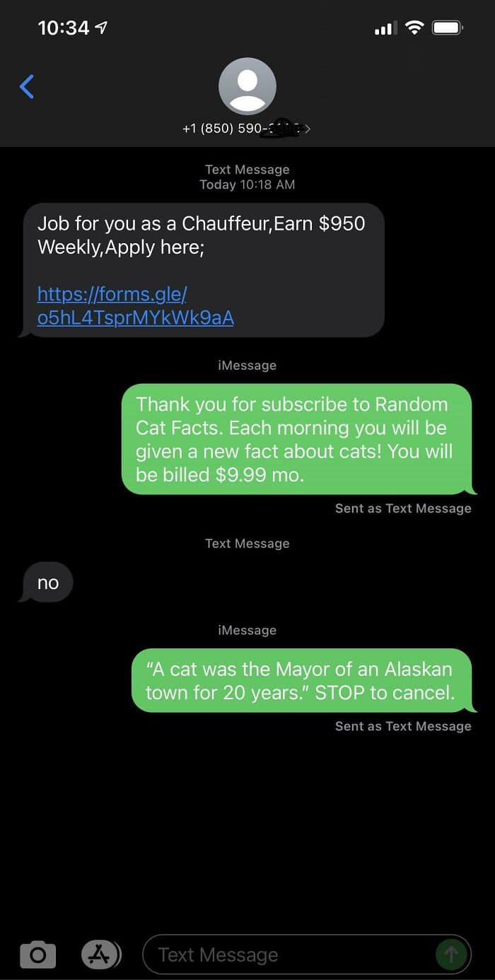 5. "Scam Text Message. Tricking Them With Cat Facts!"