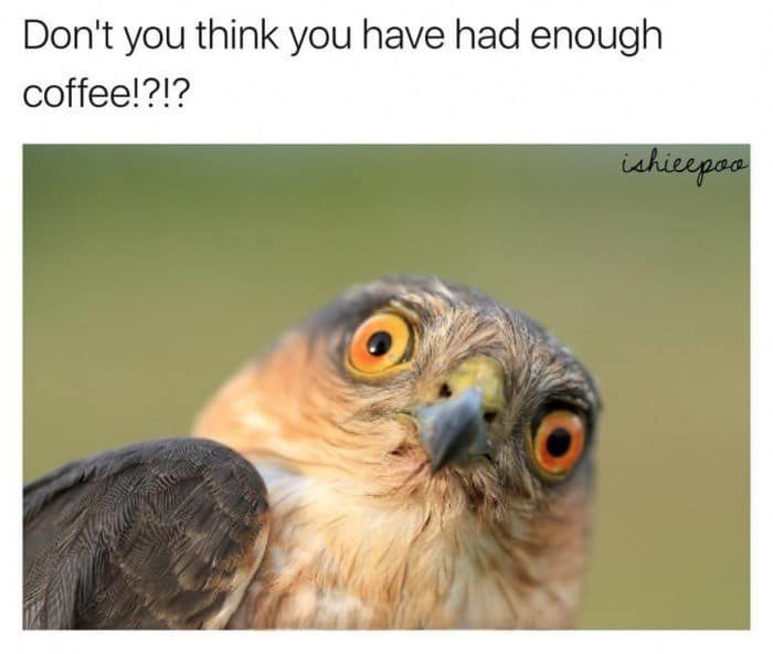 10. Yes, you... I'm talking to you