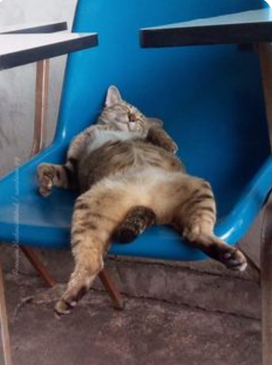 18. "Done with classes for the day... Phew!"