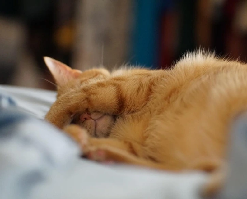 3. "Hands off when I'm catching some Z's!"