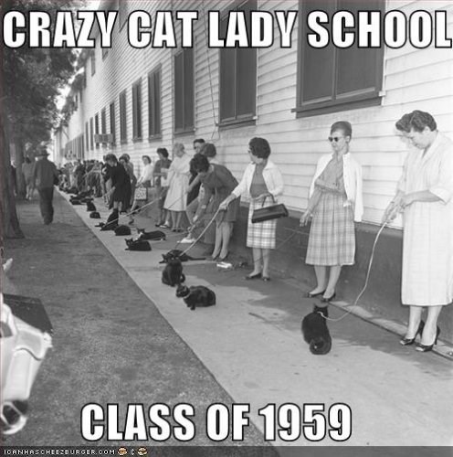 I think 90% of us would have been a thousand times happier if we could have brought our pet cats to school.