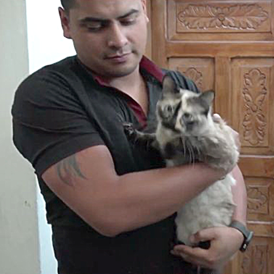 The cat, Gatubela, with its owner