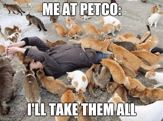 Yes, please! They will be happily taken care of and loved by me, so please just give them all to me.